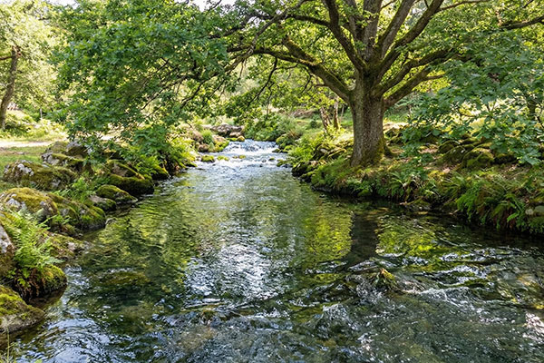 noticia2 el río Badgworthy Water fluyendo a través de Malmsmead en Exmoor, Inglaterra
